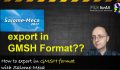 How to export Mesh in GMSH Format with Salome Meca?